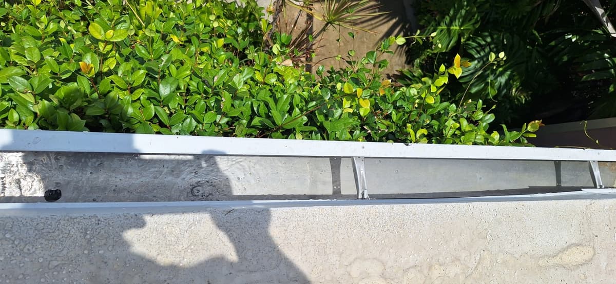 Gutter cleaning South Florida