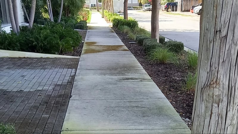 Avant le lavage à pression — trottoir couvert d'algues et de saleté