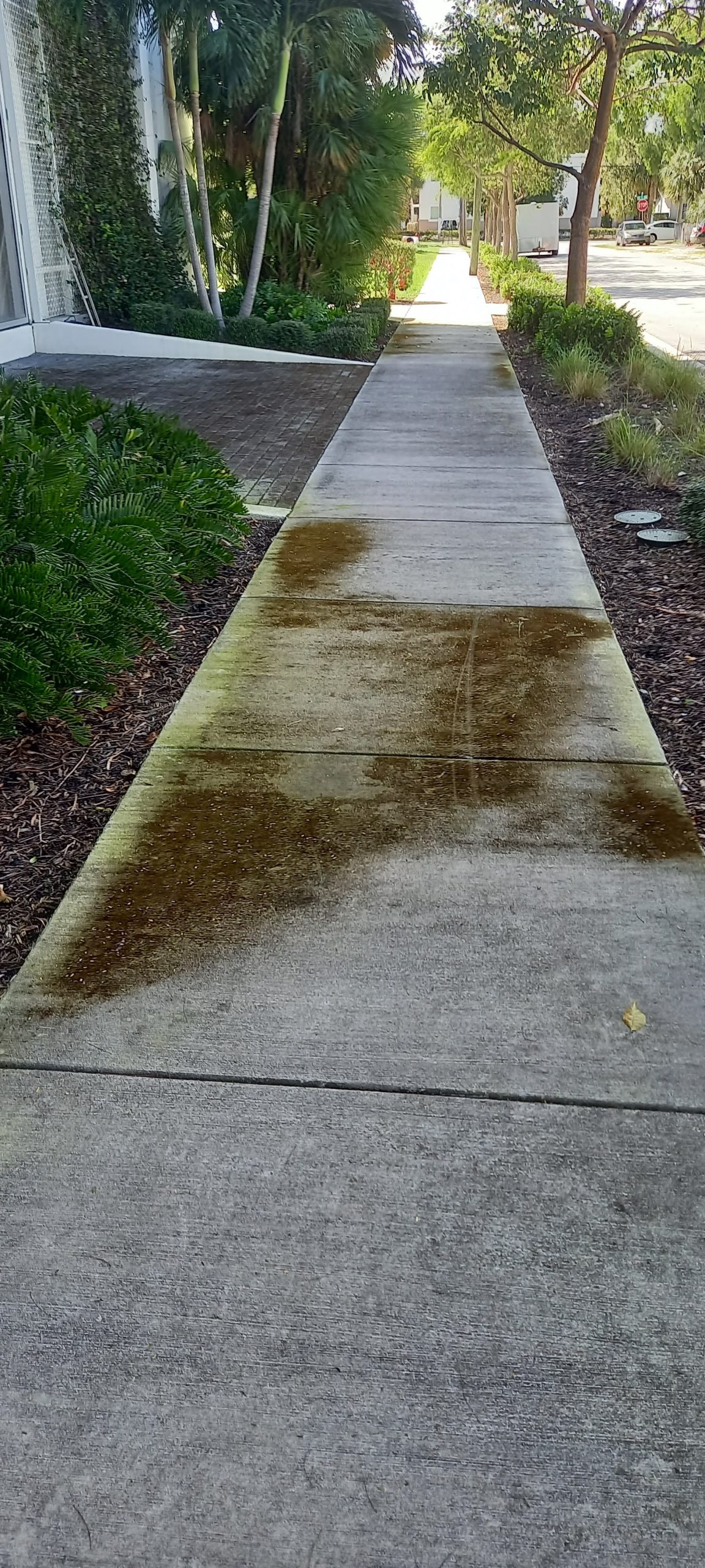 Pressure washing sidewalk South Florida before